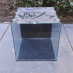 Fish Tank