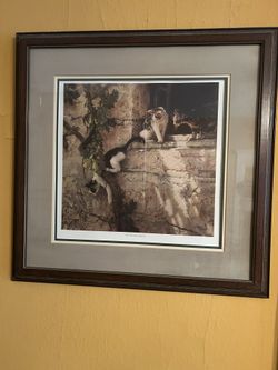 Large Framed Cat Print