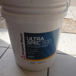 5 Gallons Of Flat White 