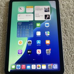 iPad Mini 6 WiFi And Cellular 