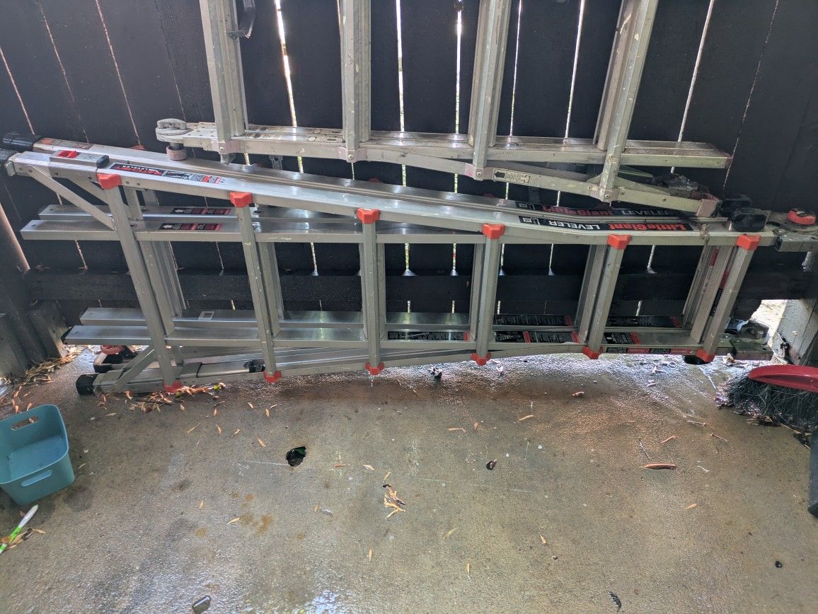 Little Giant Ladder M26