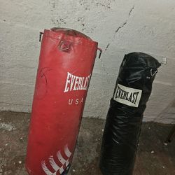 Everlast Punching Bags