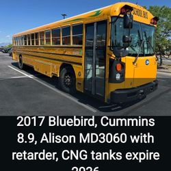 2017 BlueBird  Cummins 
