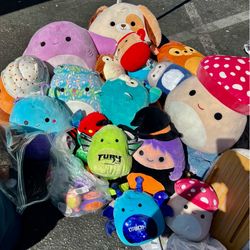 Squishmallows new everything for $50