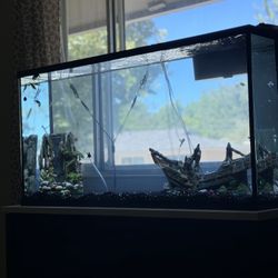 Fish Tank For Sale With Stand 
