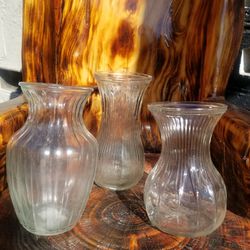Glass Vases. $5 Each