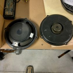 Bose Speakers