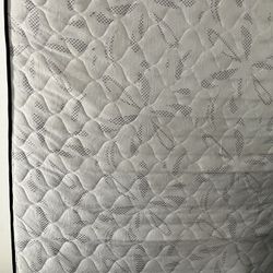 Full Size Mattress And Box spring 