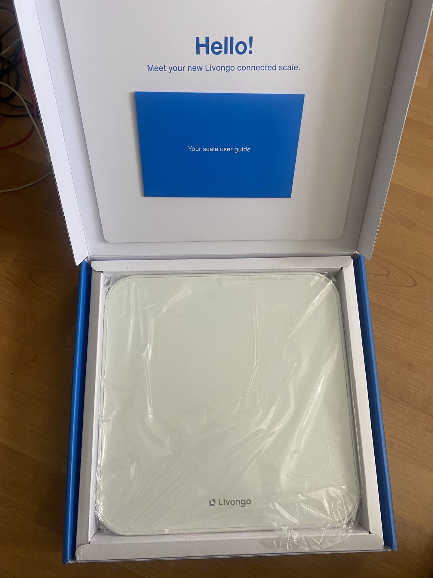 Livongo Smart Body Scale WM1500