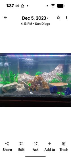60 gal aquarium