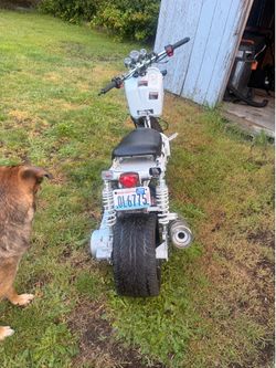 Ruckus bike