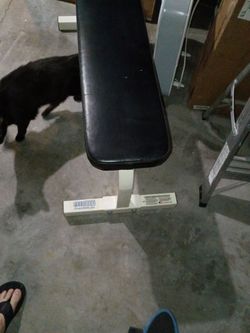 Parabody flat bench