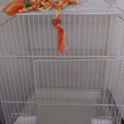 Cockatiel Cage