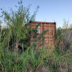 40' Ft Shipping Container(s) 2 