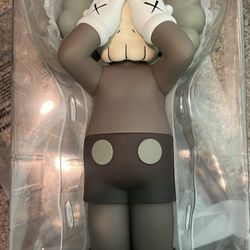 Kaws Figurine