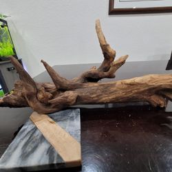 Large Aquarium Reptile Fish Driftwood