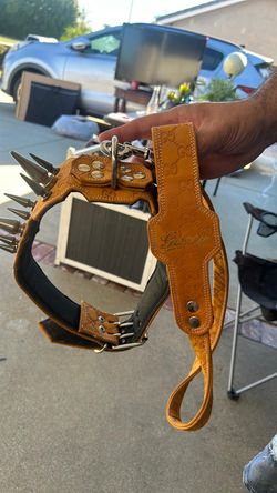 Spiked Leather Dog Collar and Leash Set