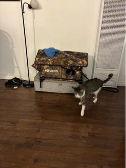 Cat house