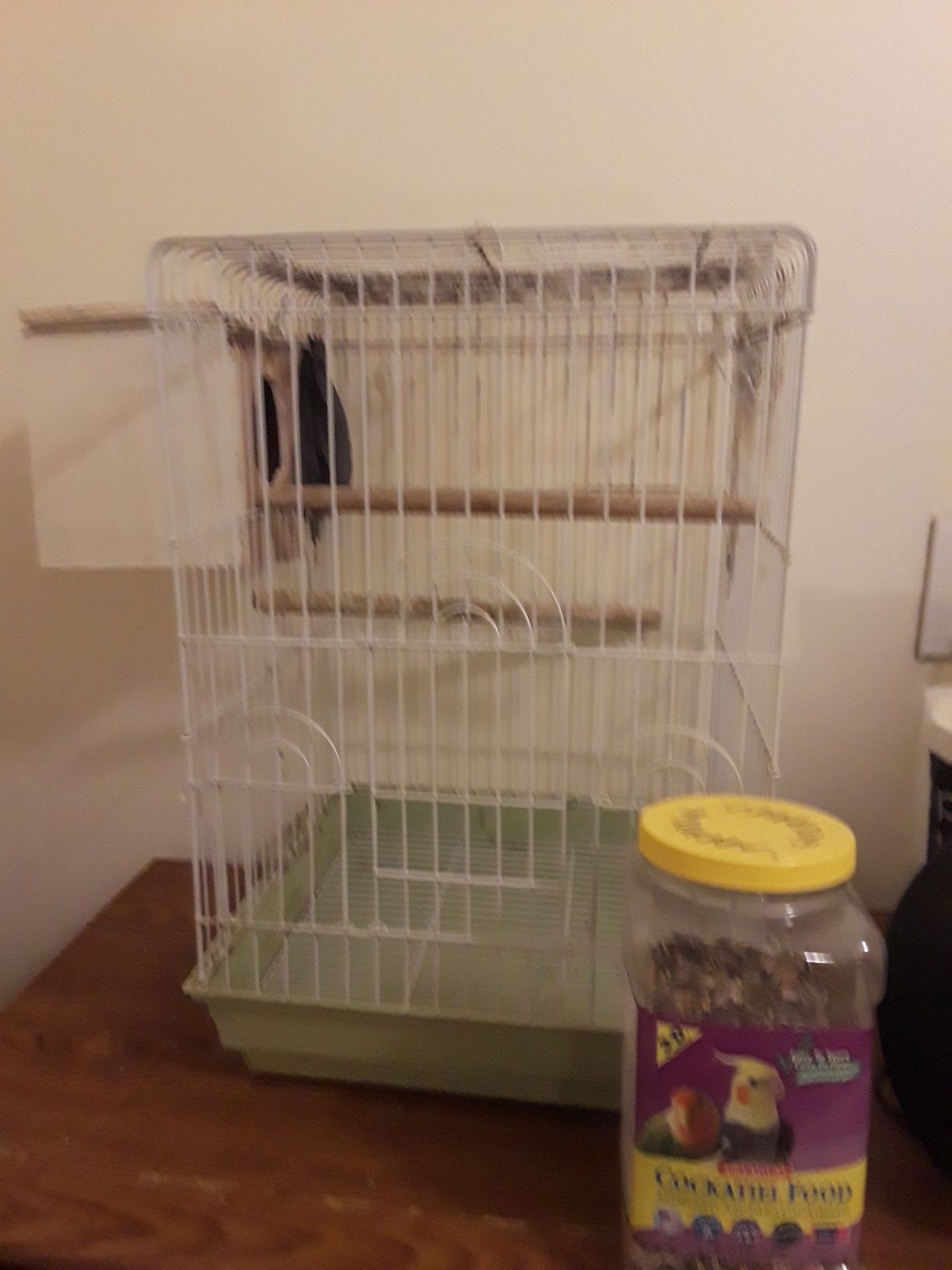 Bird cage with nest and food