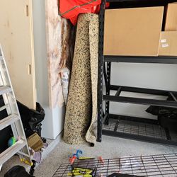 Free Carpet Insulation New