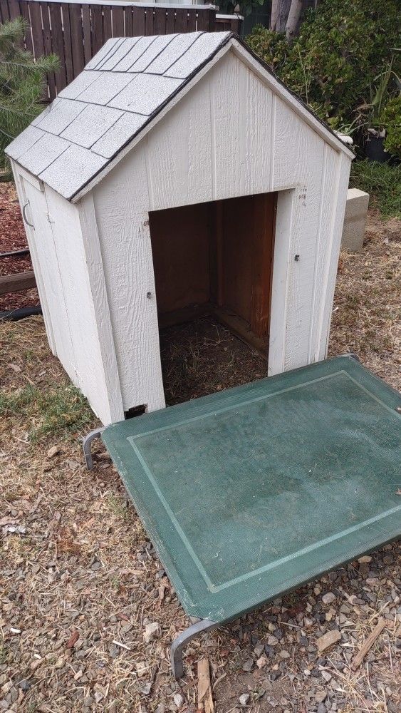 Dog House And Dog Cot