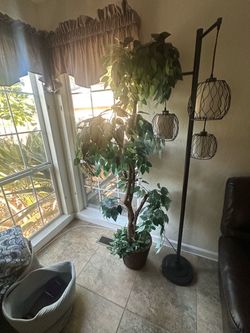 Large Artificial Ficus Tree – Approx. 7 Ft Tall
