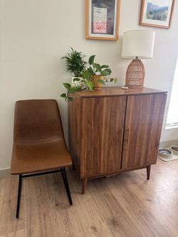 Mid century modern bar cabinet