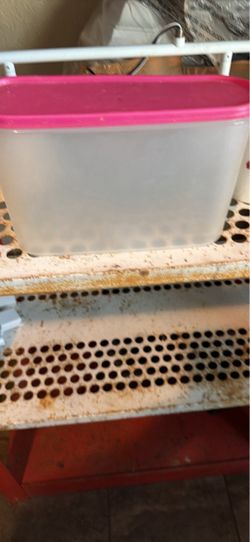 Small plastic containers