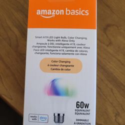New Alexa Bulb