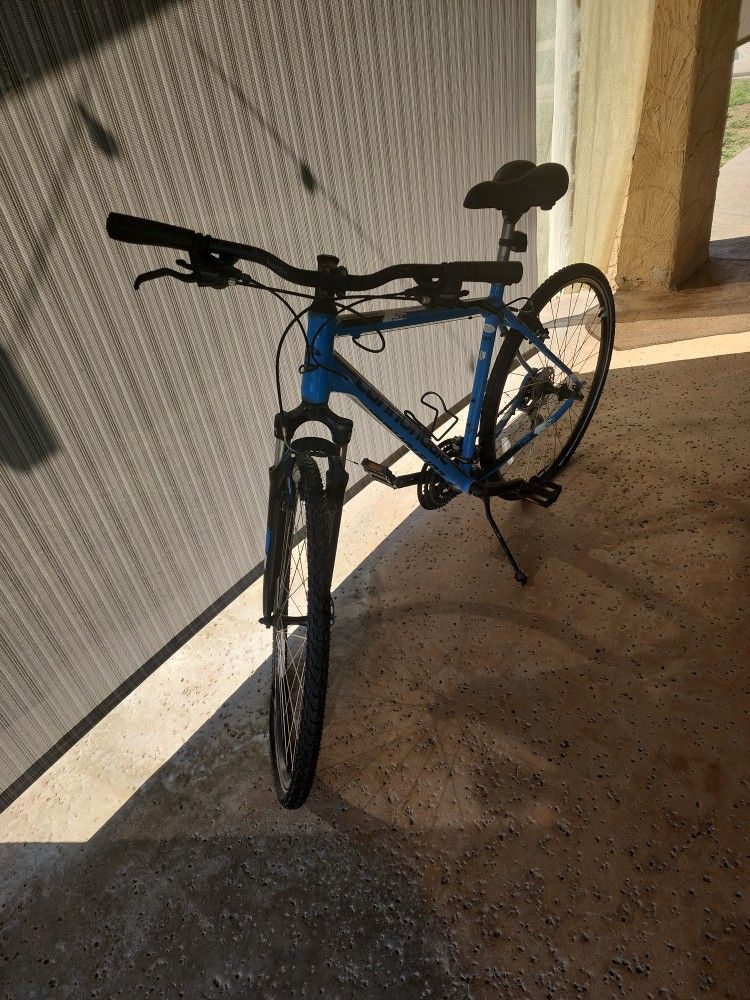 Cannondale CX 36-38" bikes size