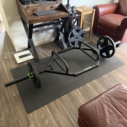 220$ Titan fitness Hex trap bar + Plates