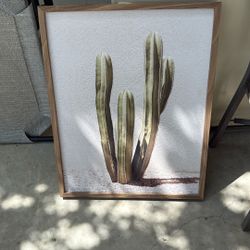 Cactus Portrait 