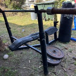 Weight Bench And Curl Bar 