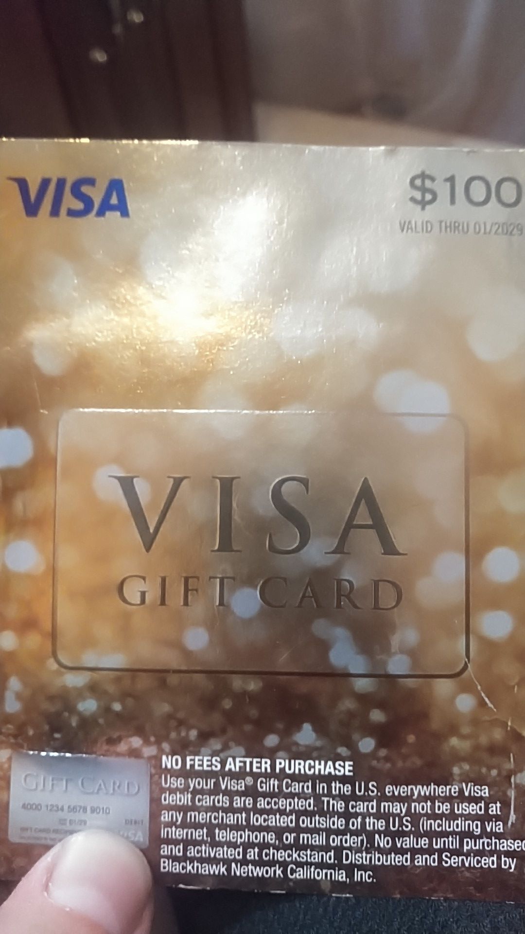 $100 Visa Prepaid Debit Card