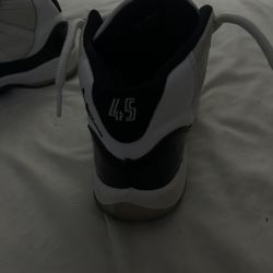 Concords 11s Jordans 