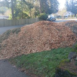 Still available FREE arborist wood chips - stick heavy