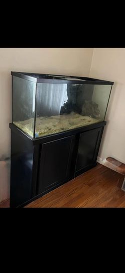 80 gallon visio tank