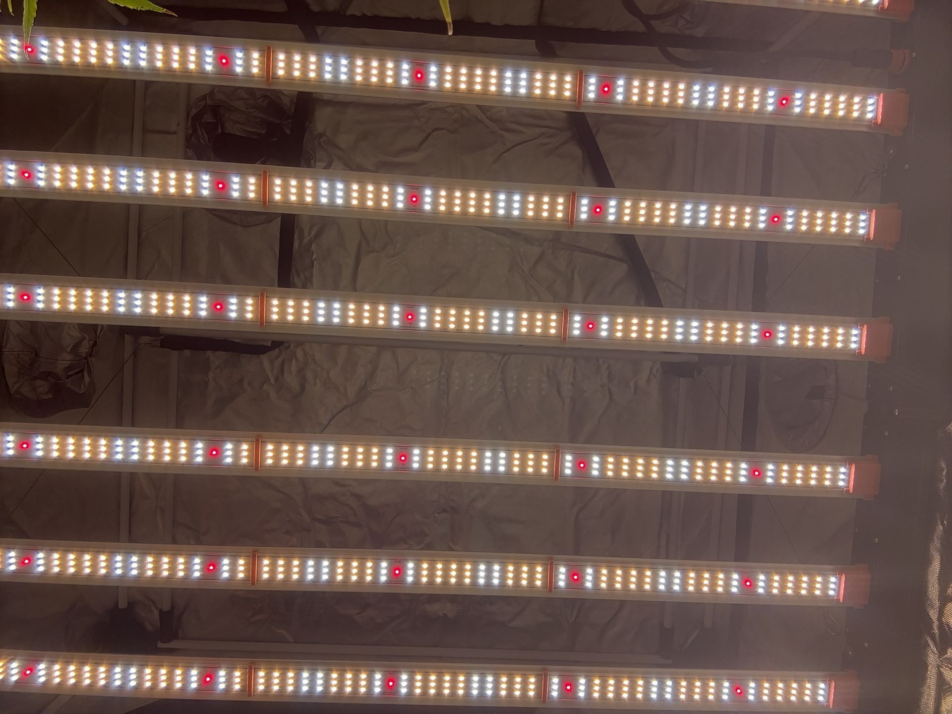 Led Grow Lights