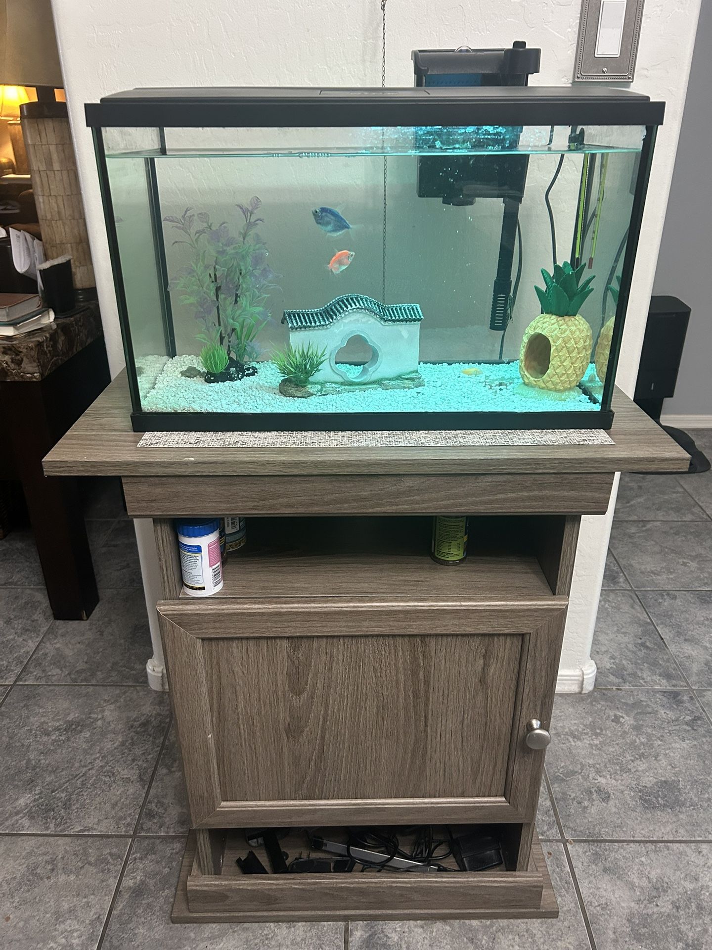 Fish tank With Everything