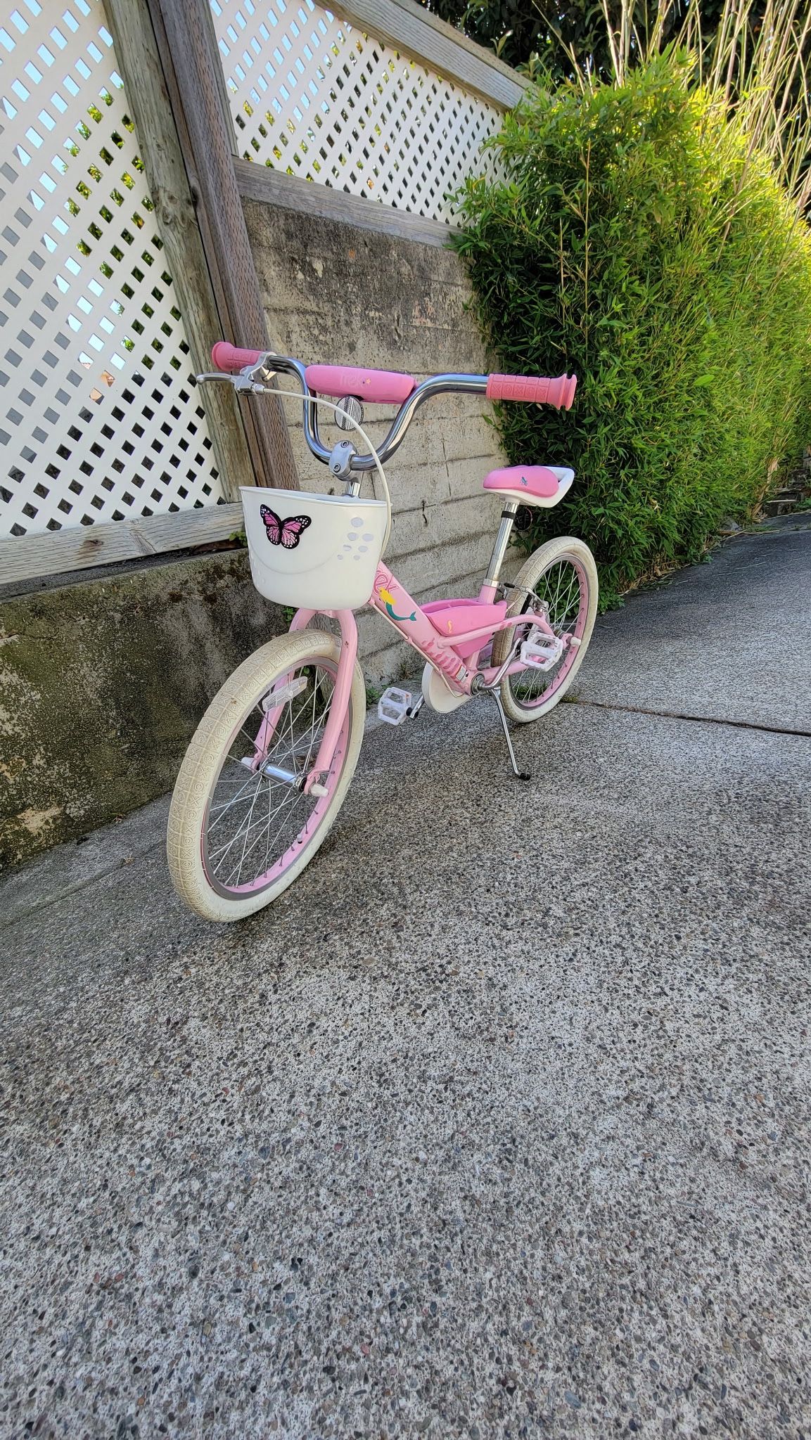 Trek 20 Inch Bike