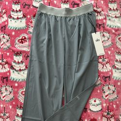 Alo Grey Trouser Pants $75 **READ DESCRIPTION**