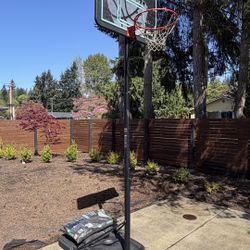 Basketball Hoop 