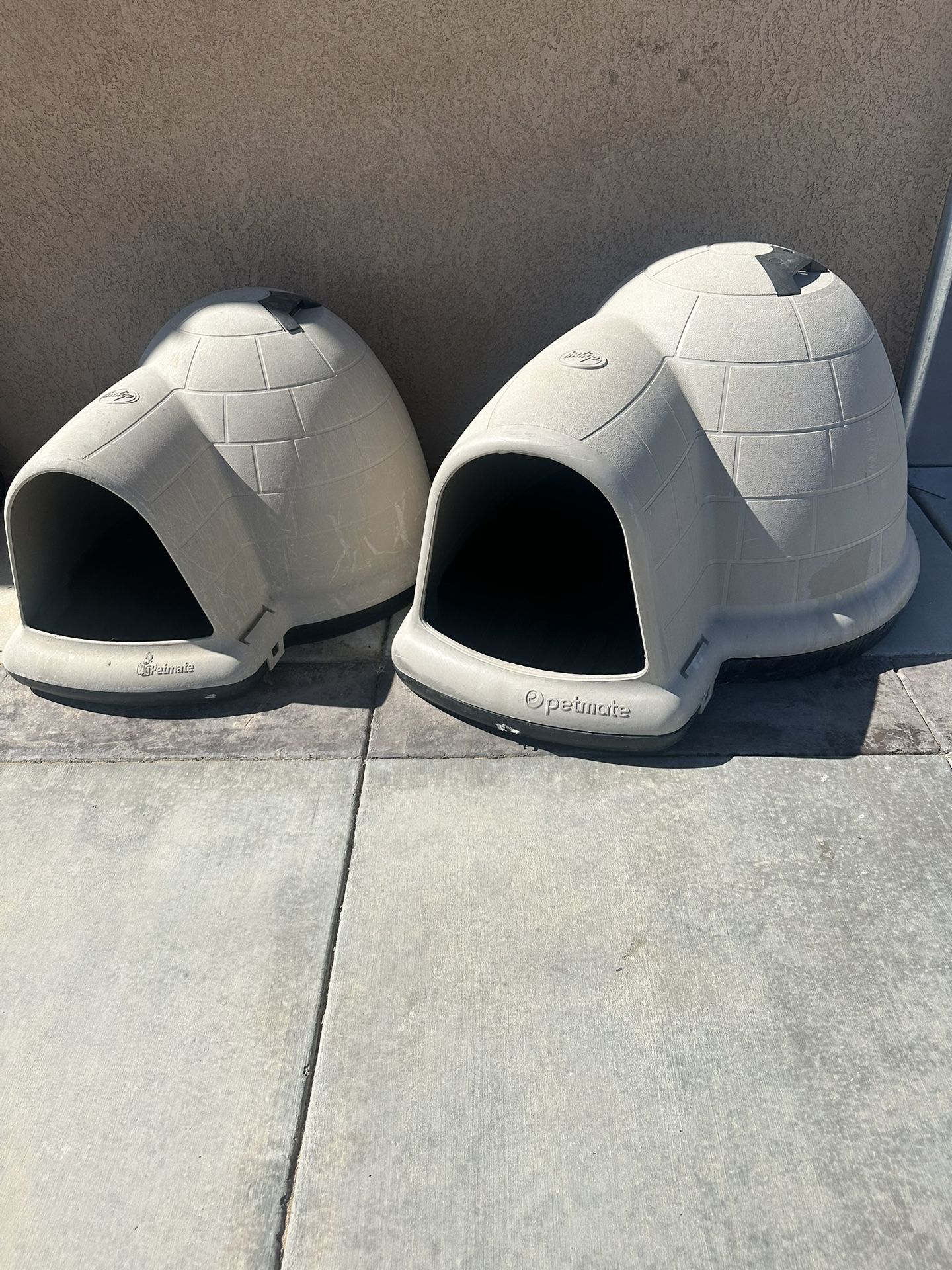 Dog Igloos