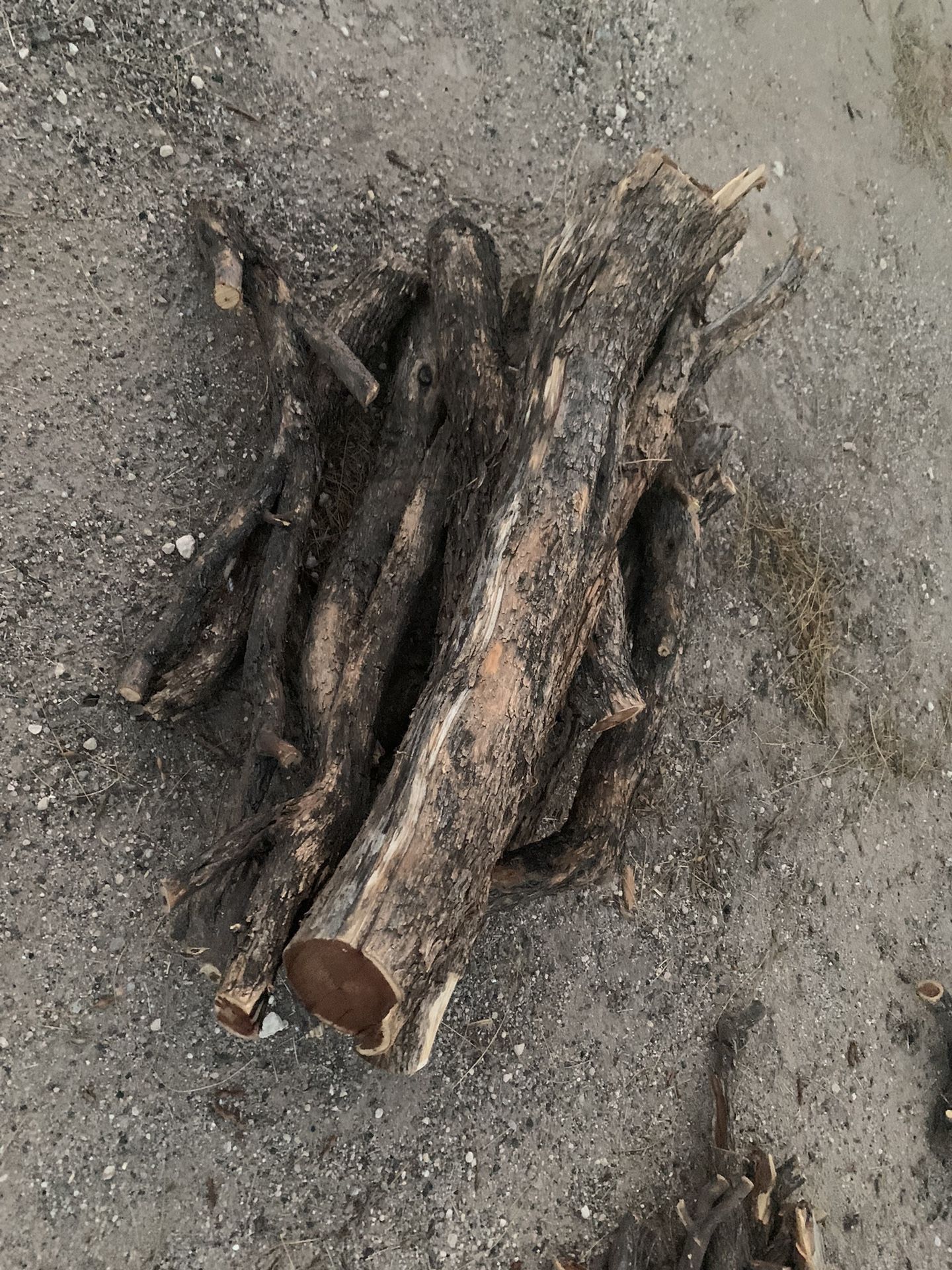 Firewood