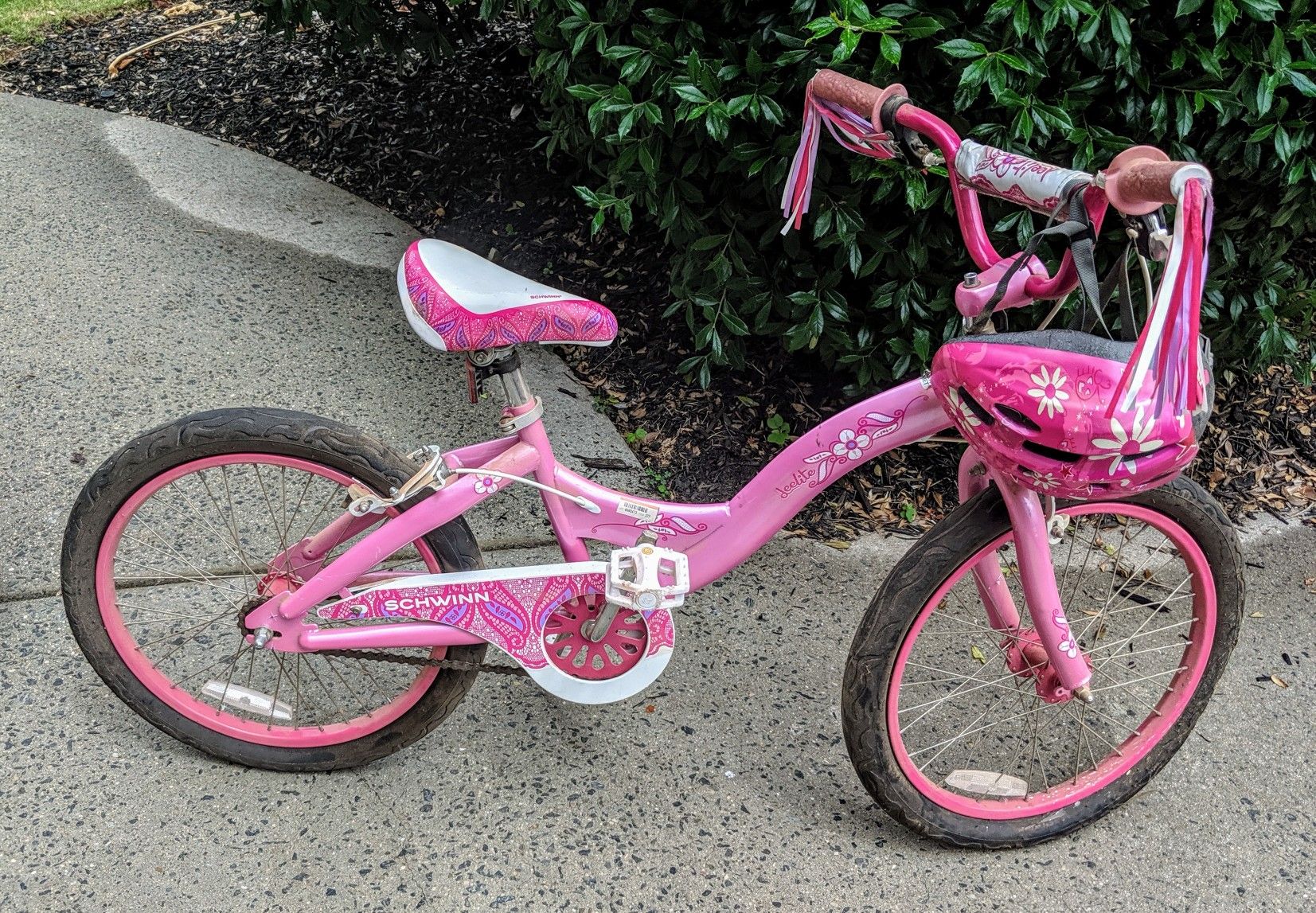 Girl's bike - Schwinn bicycle