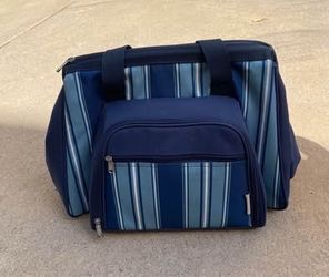 Cost plus world market insulated picnic bag featuring blue striped patterns