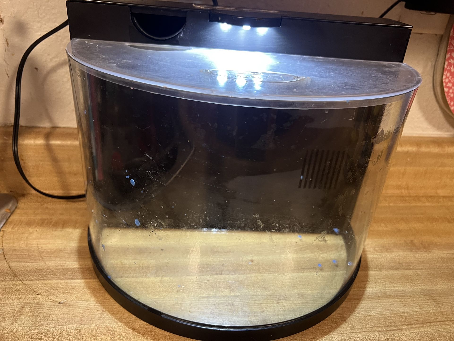 Filtered Fish Tank With Light
