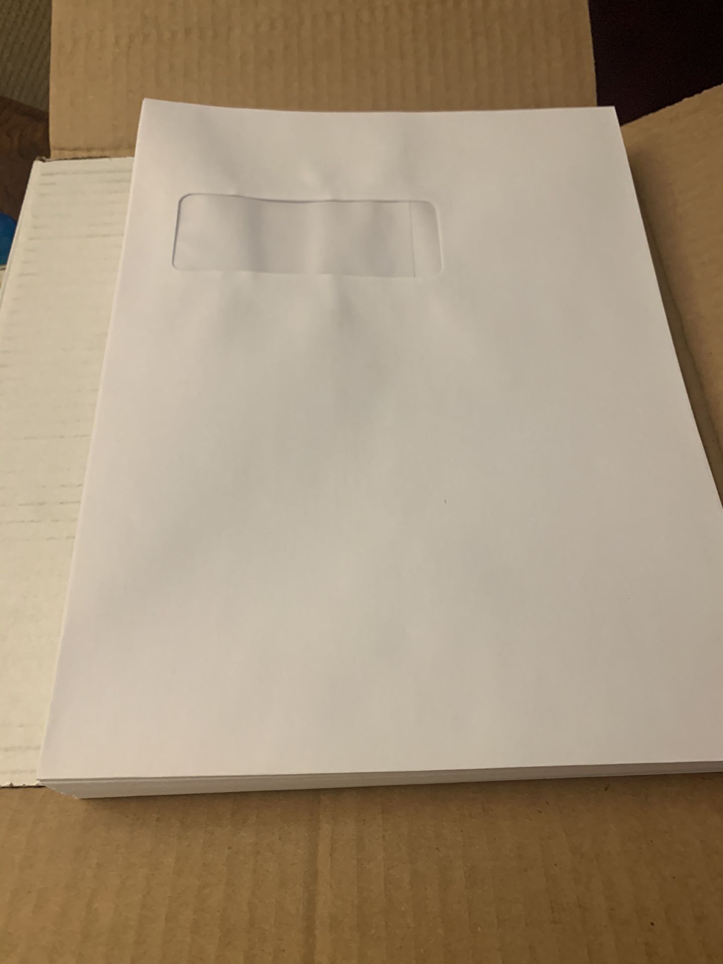 Envelope 9x12 #28 500 a case