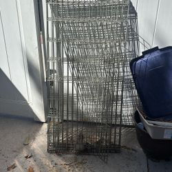 Free Dog Fence