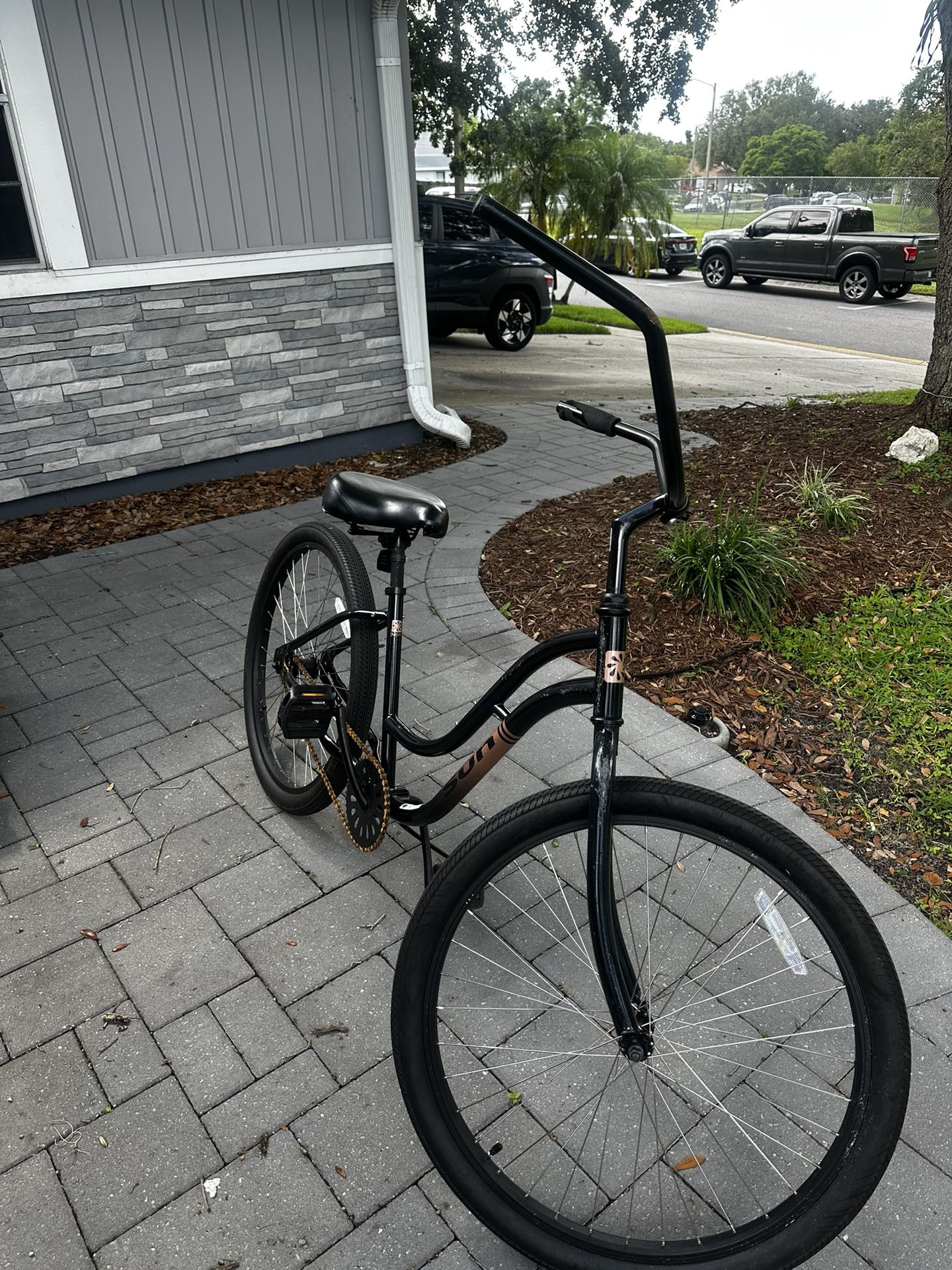 Black beach cruiser